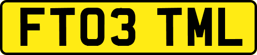 FT03TML