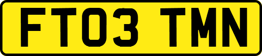 FT03TMN