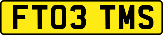 FT03TMS