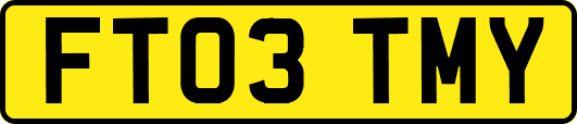 FT03TMY