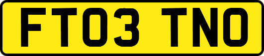 FT03TNO