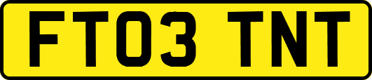 FT03TNT