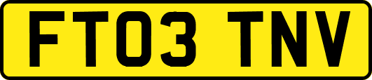FT03TNV