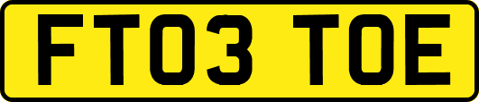 FT03TOE