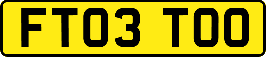 FT03TOO