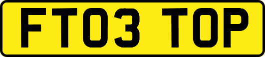 FT03TOP