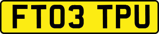 FT03TPU