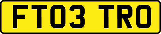 FT03TRO