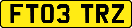 FT03TRZ