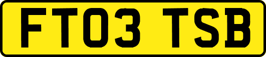 FT03TSB