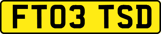 FT03TSD
