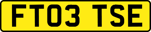 FT03TSE