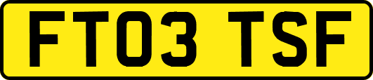 FT03TSF