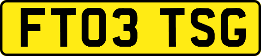 FT03TSG
