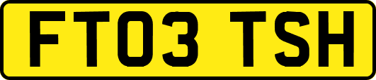 FT03TSH