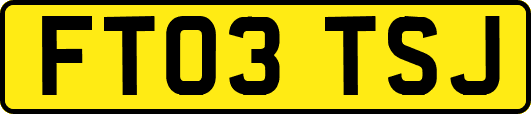 FT03TSJ