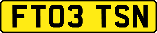 FT03TSN