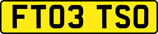 FT03TSO