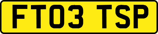 FT03TSP