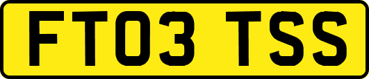 FT03TSS