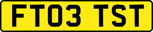 FT03TST