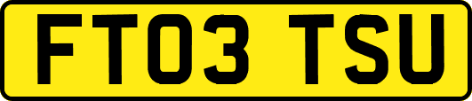FT03TSU