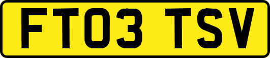 FT03TSV
