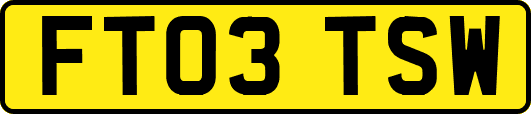FT03TSW