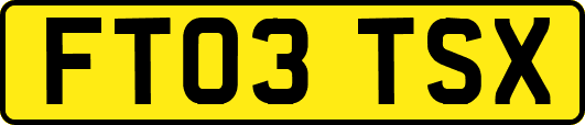 FT03TSX