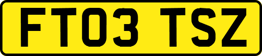 FT03TSZ