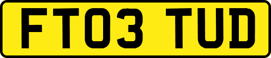 FT03TUD