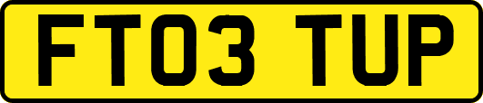 FT03TUP