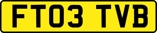 FT03TVB