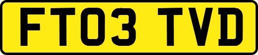FT03TVD