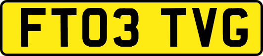 FT03TVG