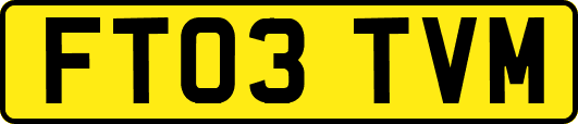 FT03TVM