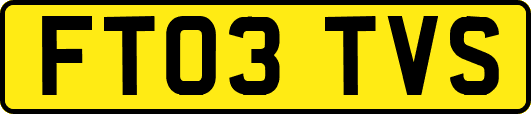 FT03TVS