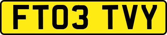 FT03TVY