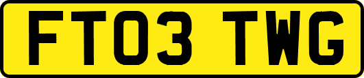 FT03TWG