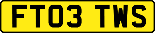 FT03TWS