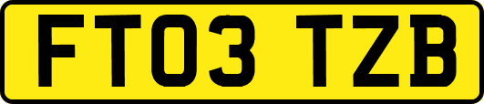 FT03TZB