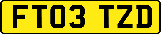 FT03TZD