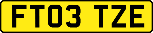 FT03TZE