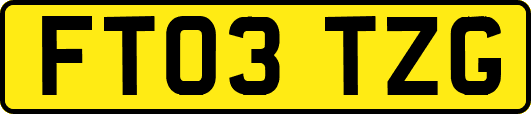 FT03TZG