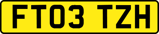 FT03TZH