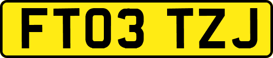 FT03TZJ