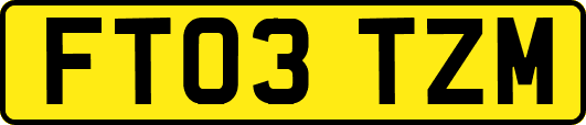FT03TZM