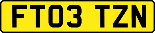 FT03TZN