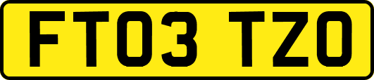 FT03TZO
