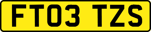 FT03TZS